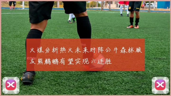 火媒分析热火未来对阵公牛森林狼灰熊鹈鹕有望实现六连胜