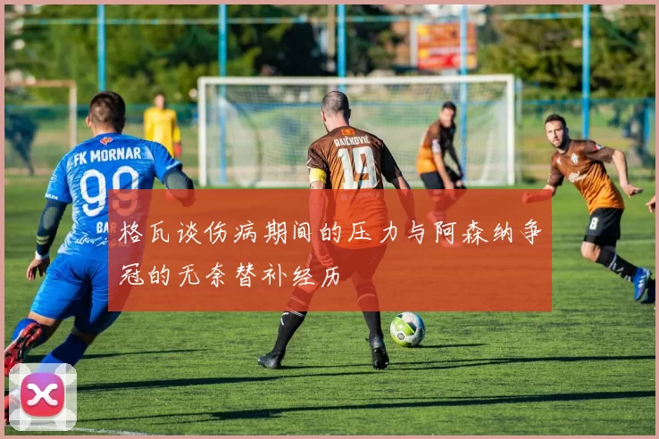 格瓦谈伤病期间的压力与阿森纳争冠的无奈替补经历