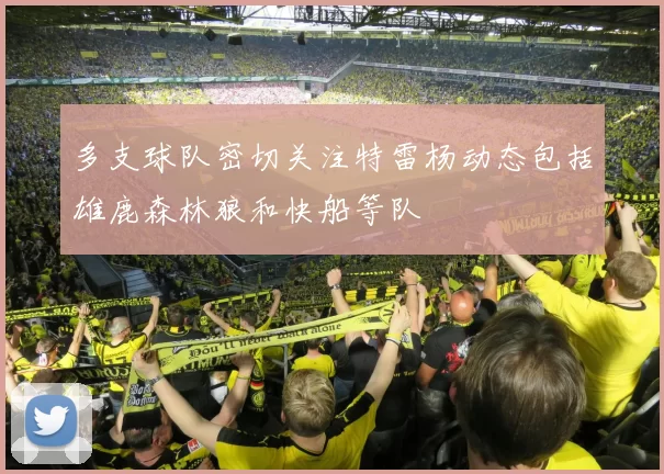 多支球队密切关注特雷杨动态包括雄鹿森林狼和快船等队