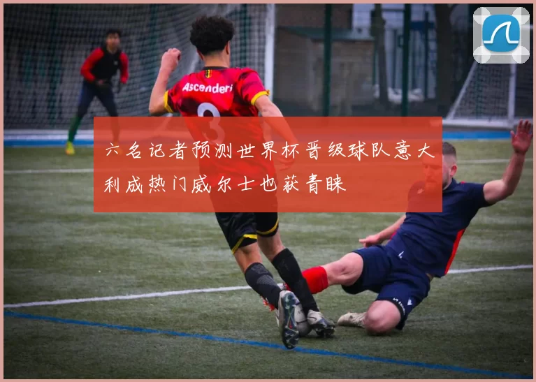 六名记者预测世界杯晋级球队意大利成热门威尔士也获青睐